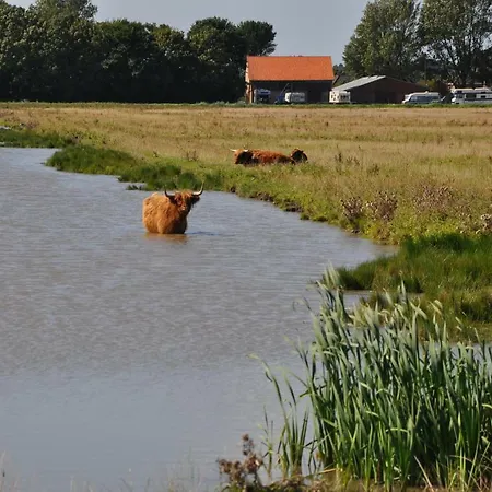 Emmy's Vakantiehuis